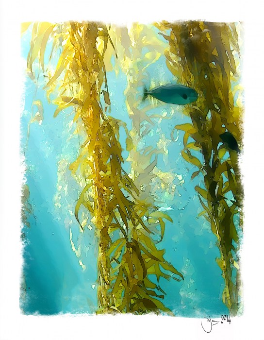 nature_atlantis_wildlife
